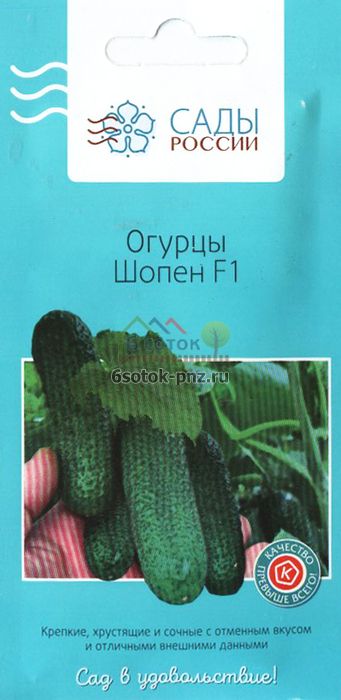 Описание огурцов шопен. Огурец Шопен f1 описание. Шопен огурец описание. Огурец Шопен фото. Огурец Шопен характеристика.